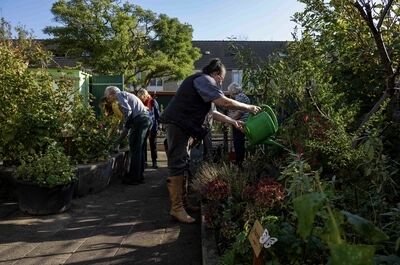 Tuiniers water geven aan planten in een bloeiende tuinomgeving, met groene bomen op de achtergrond.
